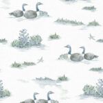 Mallard Duck YPS0537 Aqua